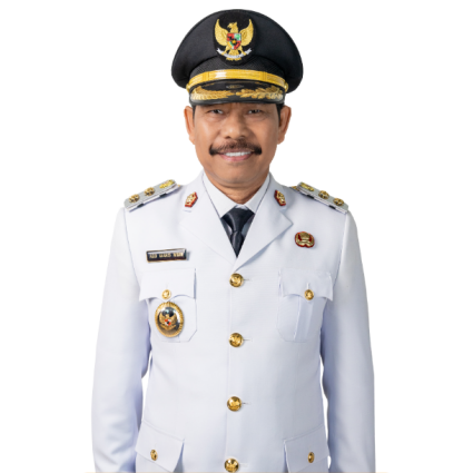 Wakil Bupati 